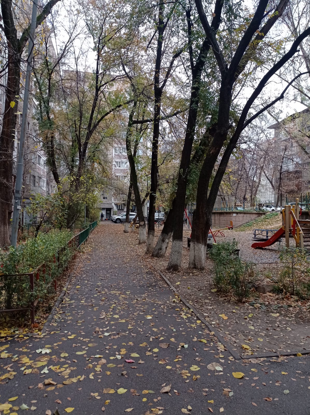 1 room flat — photo 4